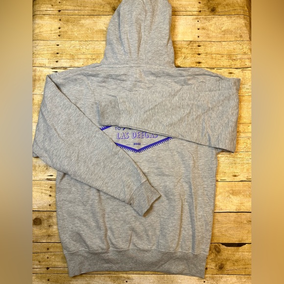 NWOT Smart Blanks Welcome to Las Vegas Essential Hoodie in Grey - Picture 3 of 5